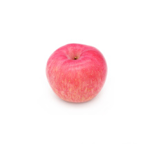 Top Fresh Blush Red Crisp Shandong FUJI Apple